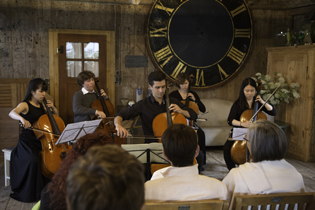 Cello-Ensemble in concert